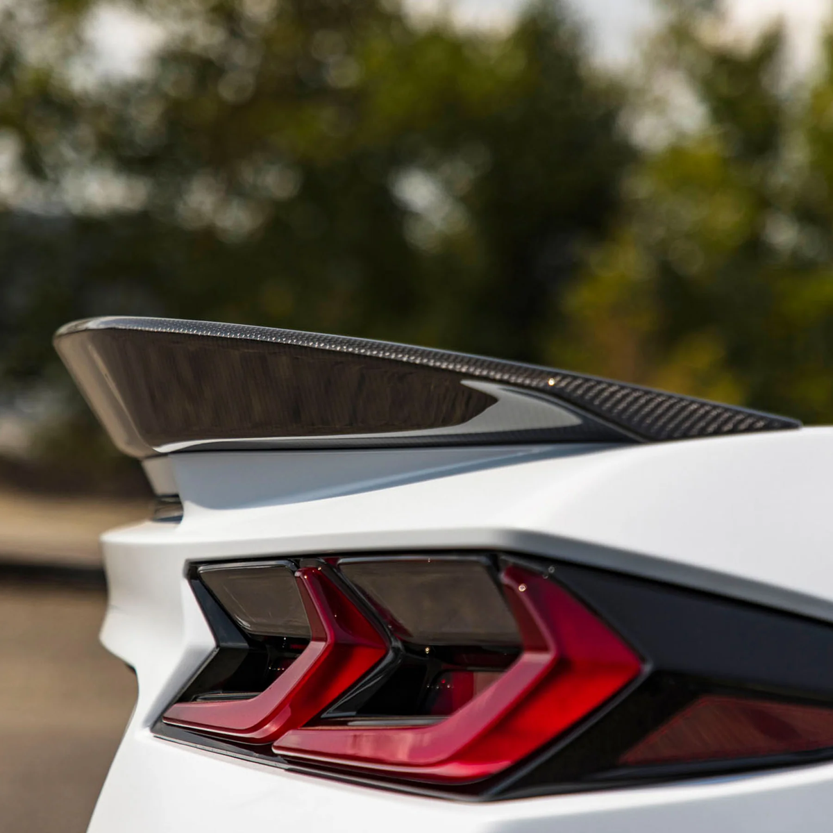 RSC - Carbon GTZ Ducktail passend für Corvette C8 Z06/E-Ray – Turbologic