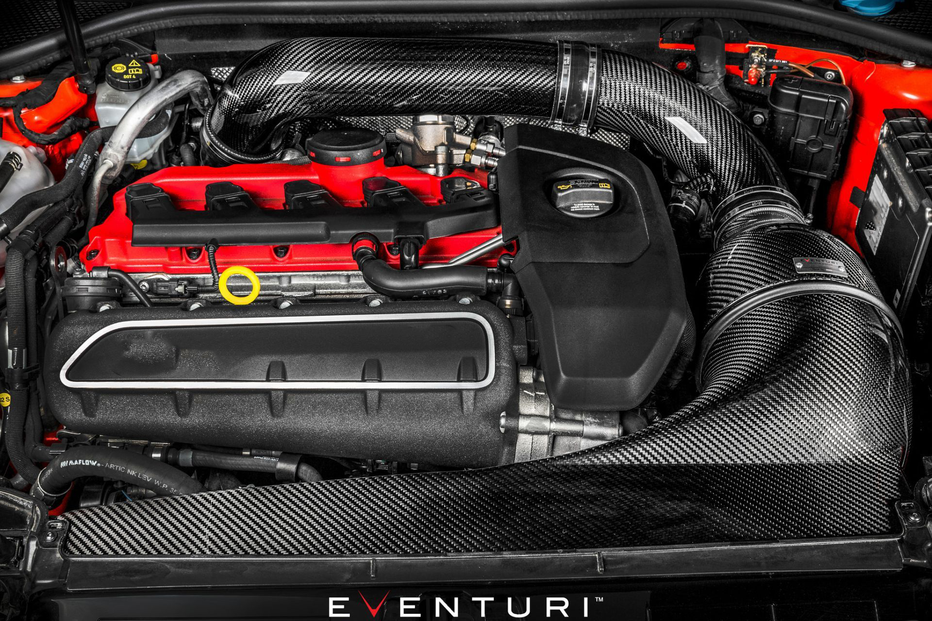 Eventuri carbon intake system carbon for Audi RS3 pre-facelift 